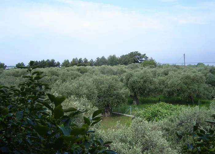 Daire Xanthoula Skala Rachoni (Thasos)